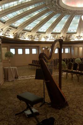 Alishia Joubert: Seattle Harpist | Kirkland, WA | Harp | Photo #13