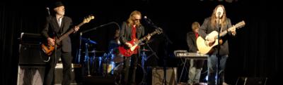 Flight - A Tribute To The Eagles | Eagle, WI | Eagles Tribute Band | Photo #3