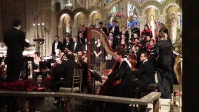 Sylvia Kowalczuk | Forest Hills, NY | Classical Harp | Photo #10
