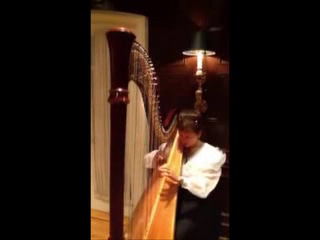 Sylvia Kowalczuk | Forest Hills, NY | Classical Harp | Titanic 
