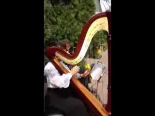 Sylvia Kowalczuk | Forest Hills, NY | Classical Harp | PACHELBEL Canon. harp & flute