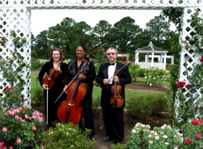 Arte Musicale String Ensemble's Main Photo