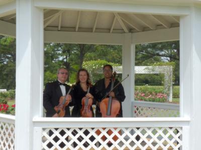 Arte Musicale String Ensemble | Newport News, VA | Classical String Quartet | Photo #3