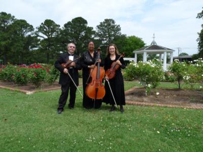 Arte Musicale String Ensemble | Newport News, VA | Classical String Quartet | Photo #2