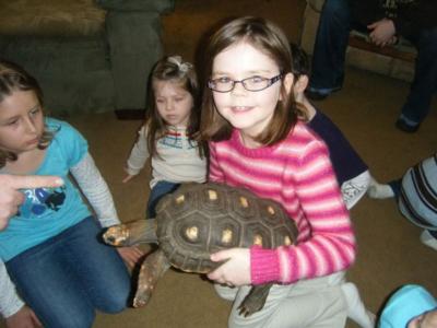 Mark's Ark | Auburn, IN | Animals For Parties | Photo #8