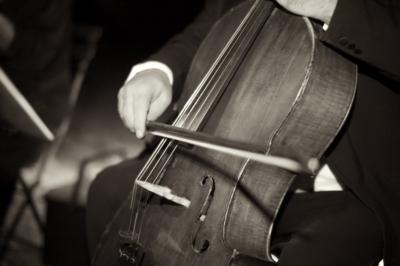 El Real Chamber Players | Placentia, CA | Classical String Quartet | Photo #8