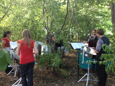 Potts & Pans Steelband | Crystal Lake, IL | Steel Drum Band | Photo #13