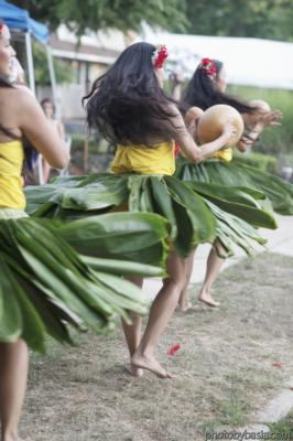 Aloha Hula DC | Rockville, MD | Hula Dancer | Photo #5