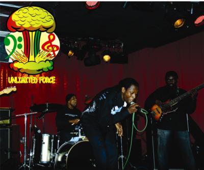 Unlimited Force Reggae Band | Queens Village, NY | Reggae Band | Photo #3