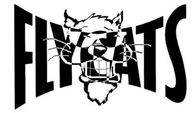 The Flycats's Main Photo