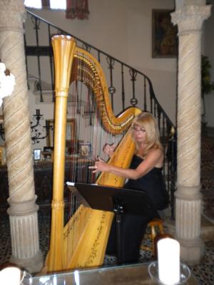 Ceclila Parker Chartoff, Professional Harpist's Main Photo