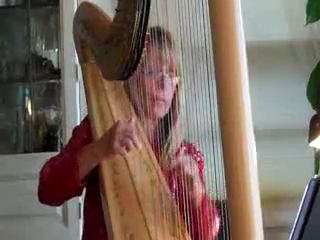 Ceclila Parker Chartoff, Professional Harpist | Sparta, NJ | Classical Harp | Clarinet Concerto in B Flat major- Key of C