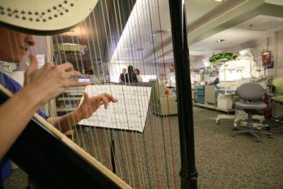 Hillary Schefter | Denver, CO | Harp | Photo #10