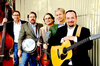David Thom Band's Main Photo