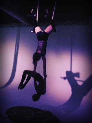 Airly Acrobatics | Boston, MA | Trapeze Artist | Photo #11