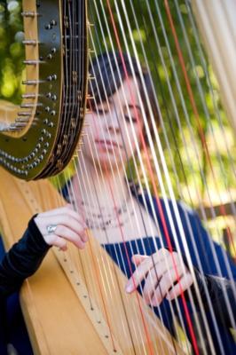 Angelic Harp | San Jose, CA | Harp | Photo #9