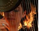 Angelic Harp | San Jose, CA | Harp | Photo #3