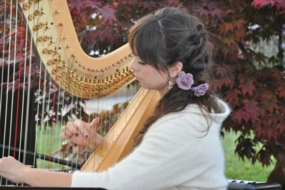 Angelic Harp | San Jose, CA | Harp | Photo #10