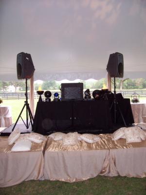 Tom Cash Entertainment | Lake Zurich, IL | Mobile DJ | Photo #9