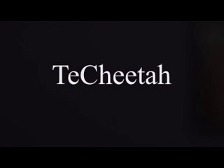 Techeetah | Pomona, CA | Latin Singer | About the Music and TeCheetah