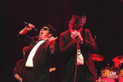 Briefcase Blues - A Tribute To Jake & Elwood Blues | McKinney, TX | Blues Brothers Tribute Band | Photo #25
