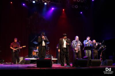 Briefcase Blues - A Tribute To Jake & Elwood Blues | McKinney, TX | Blues Brothers Tribute Band | Photo #20