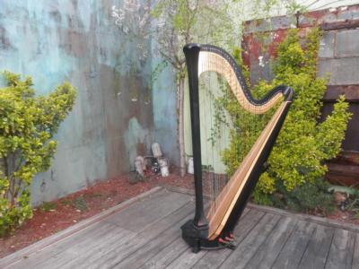 Marilu Donovan | Brooklyn, NY | Harp | Photo #3