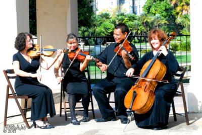 Vintage Strings's Main Photo
