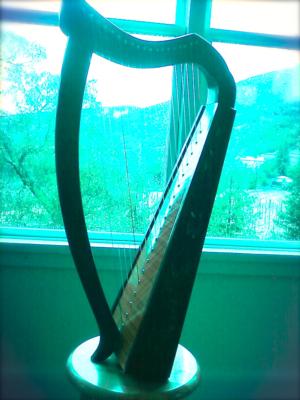 Erica "Eri" Messer | San Mateo, CA | Harp | Photo #7