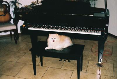 Sharon Abney  | San Antonio, TX | Piano | Photo #2