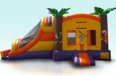 Jump N Party Inflatables | Murrieta, CA | Moonbounce | Photo #5