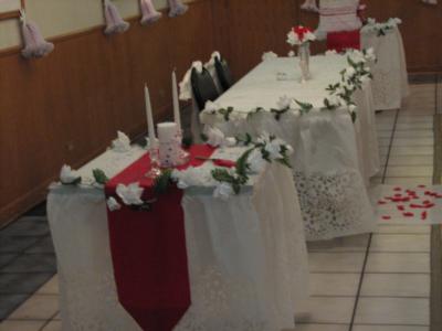 T.C. Production Disc Jockey Service | South Holland, IL | DJ | Photo #11