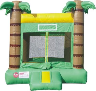 Bouncing Your Way | Monroe, NC | Party Inflatables | Photo #11