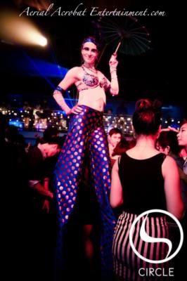 Aerial Acrobat Entertainment | Weehawken, NJ | Acrobat | Photo #11