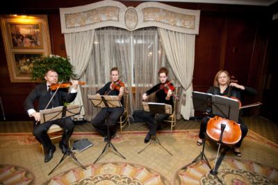 Premier-Strings's Main Photo