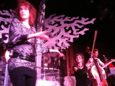 Celloasis by Sharon Gerber | Greenville, SC | Cello | Photo #4