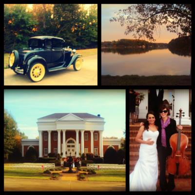 Celloasis by Sharon Gerber | Greenville, SC | Cello | Photo #10