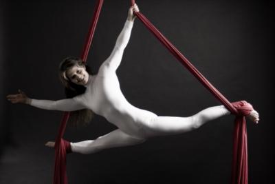 The Circus Aerials Society's Main Photo