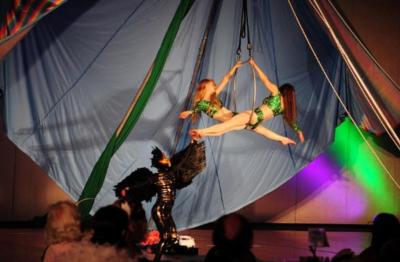 The Circus Aerials Society | Vancouver, BC | Acrobat | Photo #10