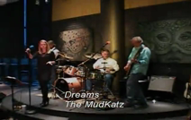 The Mudcatz | Birmingham, AL | Cover Band | Dreams
