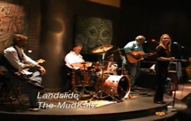 The Mudcatz | Birmingham, AL | Cover Band | Landslide