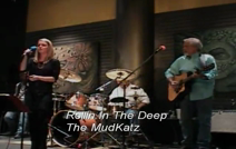 The Mudcatz | Birmingham, AL | Cover Band | Rollin In The Deep