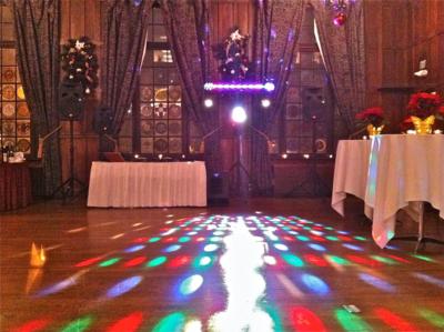 Discosapien NYC | New York City, NY | Event DJ | Photo #15