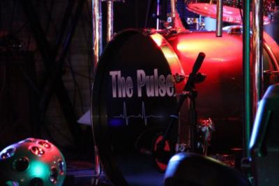 The Pulse | Detroit, MI | Variety Band | Photo #19