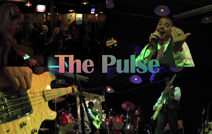The Pulse | Detroit, MI | Variety Band | The Pulse Video