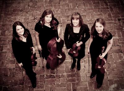 Strings Of Elegance's Main Photo