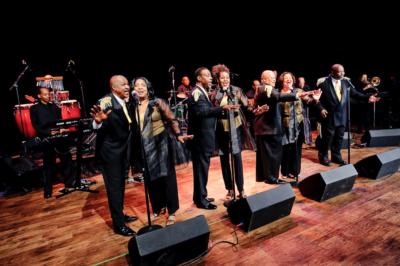 Fabulous Motown Revue | Saint Louis, MO | Dance Band | Photo #4
