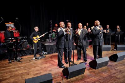 Fabulous Motown Revue | Saint Louis, MO | Dance Band | Photo #7