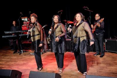 Fabulous Motown Revue | Saint Louis, MO | Dance Band | Photo #6