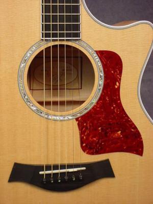 Warren Kramer | Classical, Jazz, Acoustic Guitar | Grand Rapids, MI | Jazz Acoustic Guitar | Photo #8